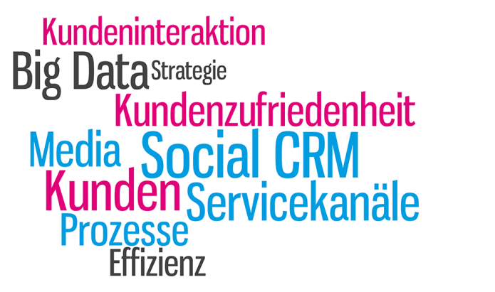 Isabella Andric - Blogbeitrag - Social CRM - Big Data - Kundenzufriedenheit - Prozesse - Kunden - Strategie - Kundeninteraktion - Tag Cloud